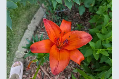 901 Innisbrook Court, Waunakee, WI 53597 - Photo 60