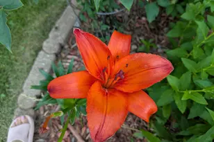 901 Innisbrook Ct, Waunakee, WI 53597 - Photo 60