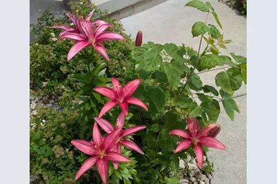 901 Innisbrook Court, Waunakee, WI 53597 - Photo 58