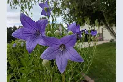 901 Innisbrook Court, Waunakee, WI 53597 - Photo 64