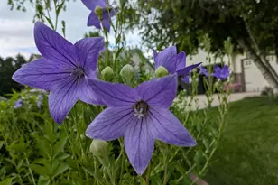 901 Innisbrook Ct, Waunakee, WI 53597 - Photo 64