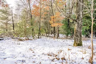 N13903 Hwy 80, Necedah, WI 54646 - Photo 50