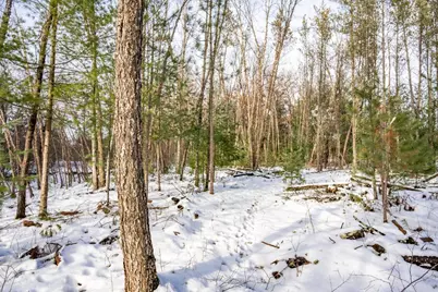 N13903 Highway 80, Necedah, WI 54646 - Photo 48