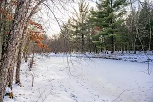 N13903 Hwy 80, Necedah, WI 54646 - Photo 46