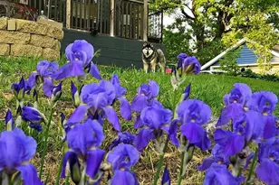 206 Church St, Merrimac, WI 53561 - Photo 44