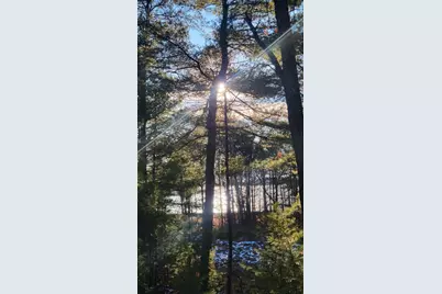 Lot 15 19th Pass, Arkdale, WI 54613 - Photo 2