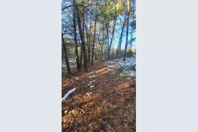 Lot 16 19th Pass, Arkdale, WI 54613 - Photo 10