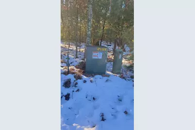 Lot 16 19th Pass, Arkdale, WI 54613 - Photo 4