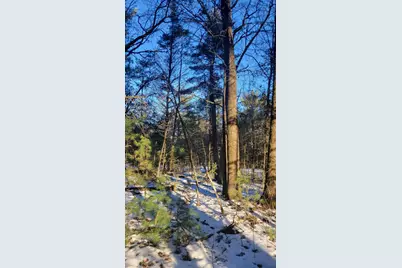 Lot 16 19th Pass, Arkdale, WI 54613 - Photo 8