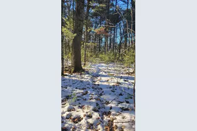 Lot 16 19th Pass, Arkdale, WI 54613 - Photo 6