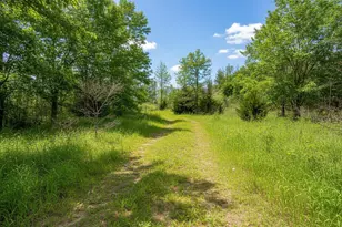 513 Oak Grove Drive, Necedah, WI 54646 - Photo 38