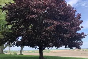 2315 Spring Rose Rd, Verona, WI 53593 - Photo 50