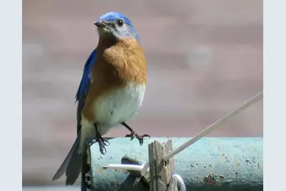 2315 Spring Rose Road, Verona, WI 53593 - Photo 58