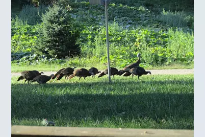 8801 N Serns Road, Milton, WI 53563 - Photo 84