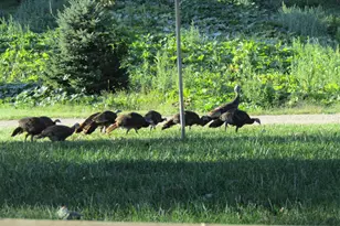 8801 N Serns Rd, Milton, WI 53563 - Photo 84