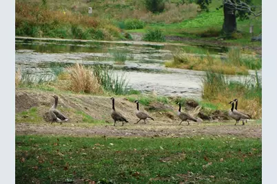 8801 N Serns Road, Milton, WI 53563 - Photo 78