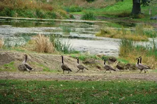 8801 N Serns Rd, Milton, WI 53563 - Photo 78