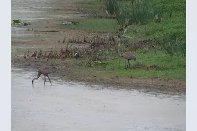 8801 N Serns Road, Milton, WI 53563 - Photo 80