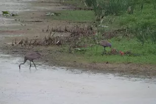 8801 N Serns Rd, Milton, WI 53563 - Photo 80