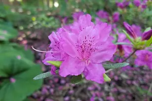 5421 Trempealeau Trail, Madison, WI 53705 - Photo 60