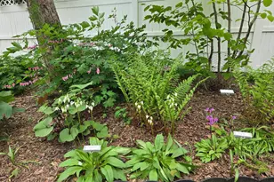 5421 Trempealeau Trail, Madison, WI 53705 - Photo 56