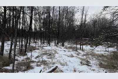 1.50 Acres Retirement Lane, Necedah, WI 54646 - Photo 6