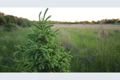 000 County Hwy D, Exeter, WI 53508 - Photo 28