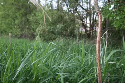 000 County Hwy D, Exeter, WI 53508 - Photo 32