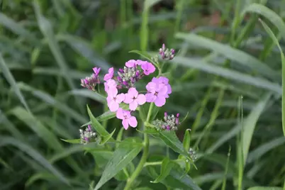 000 County Hwy D, Exeter, WI 53508 - Photo 26