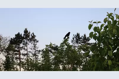 000 County Hwy D, Exeter, WI 53508 - Photo 30