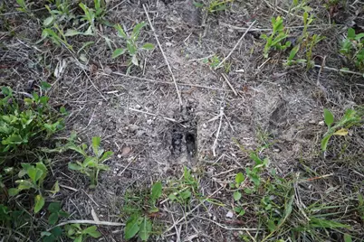 000 County Hwy D, Exeter, WI 53508 - Photo 38