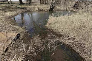 S6720 Eli Valley Rd, Loganville, WI 53943 - Photo 4