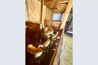 S6720 Eli Valley Road, Loganville, WI 53943 - Photo 52