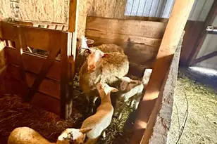 S6720 Eli Valley Rd, Loganville, WI 53943 - Photo 52