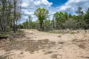 N8444 Hwy 80, New Lisbon, WI 53950 - Photo 70