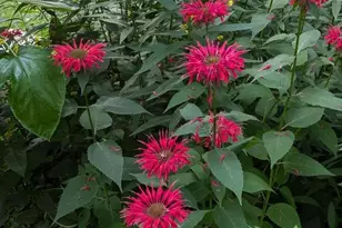 3506 Greenwood Dr, Janesville, WI 53546 - Photo 1