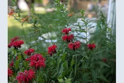 3506 Greenwood Drive, Janesville, WI 53546 - Photo 2