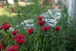 3506 Greenwood Dr, Janesville, WI 53546 - Photo 2