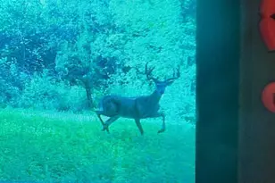 1079 Koshkonong Rd, Cambridge, WI 53523 - Photo 34