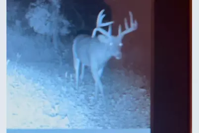 1079 Koshkonong Road, Cambridge, WI 53523 - Photo 36