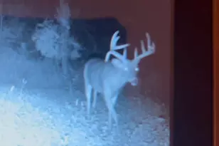 1079 Koshkonong Rd, Cambridge, WI 53523 - Photo 36