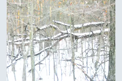 1.34 Ac Czech Drive, Friendship, WI 53934 - Photo 2