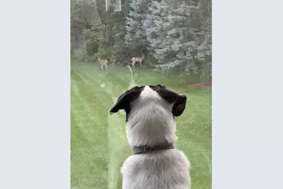 1270 McMahon Drive, Sun Prairie, WI 53590 - Photo 84