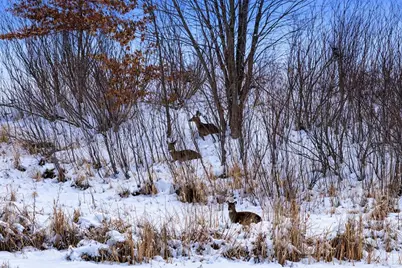 8.73 M/L Acres Golf Course Road, Brodhead, WI 53520 - Photo 6