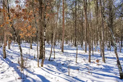 W5251 Wander Lane, Necedah, WI 54646 - Photo 20