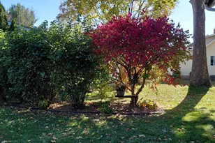 1106 Madison St, Sauk City, WI 53583 - Photo 76