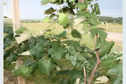 15428 Hazelgreen Road, Tomah, WI 54660 - Photo 38