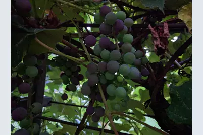 213 Highland Street, Mount Horeb, WI 53572 - Photo 68