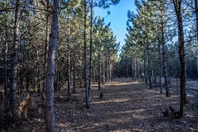 Lot 2 11th Drive, Friendship, WI 53934 - Photo 8