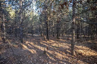 Lot 2 11th Drive, Friendship, WI 53934 - Photo 10